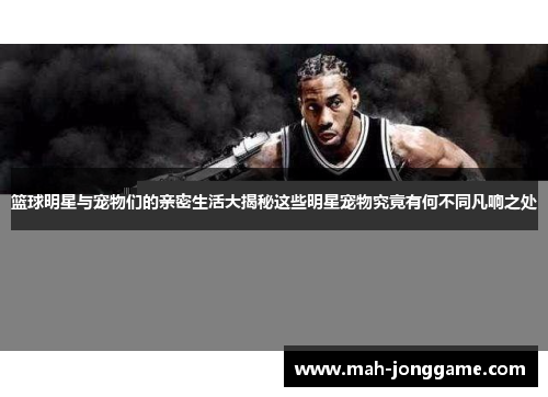 篮球明星与宠物们的亲密生活大揭秘这些明星宠物究竟有何不同凡响之处
