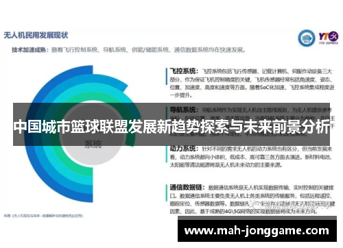 中国城市篮球联盟发展新趋势探索与未来前景分析